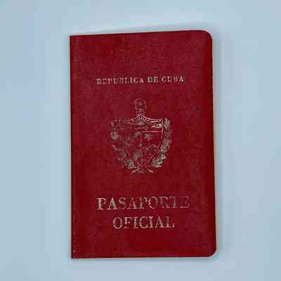 official passport