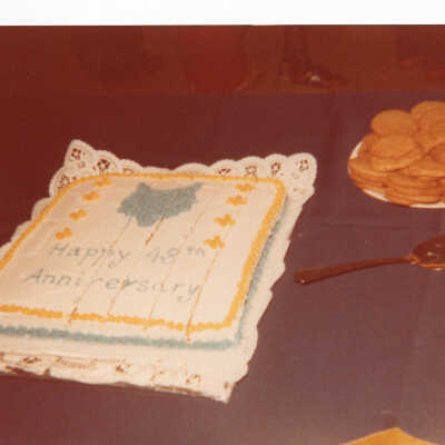 Boy Scouts Birthday Cake