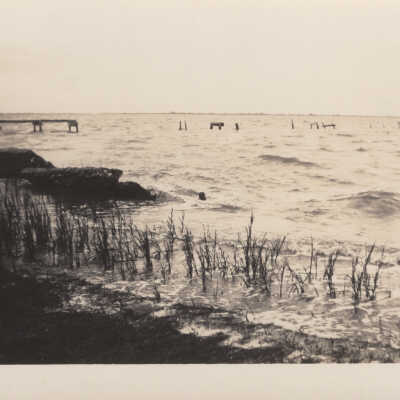 Seawall