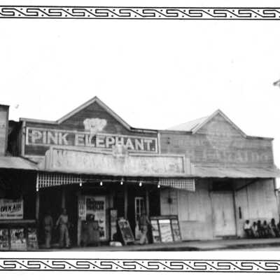 Pink Elephant