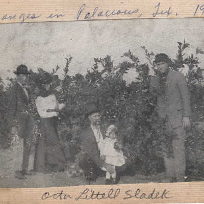 Oranges in Palacios