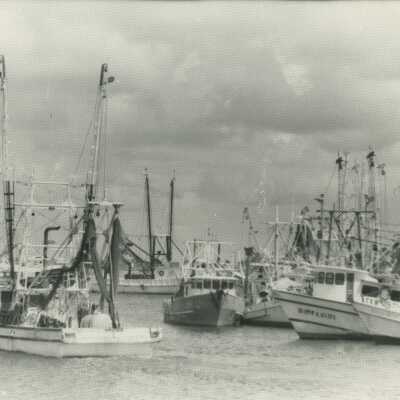 Shrimp Trawlers