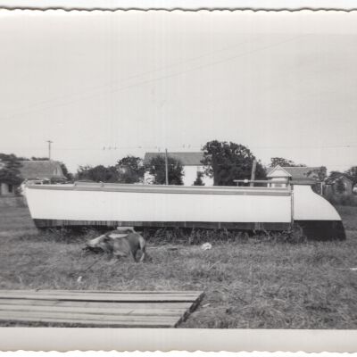 Photograph