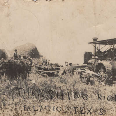Thrashing Rice, Palacios, Texas