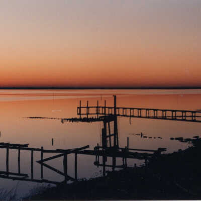 1511 Bayshore