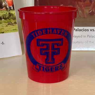 Tidehaven Tigers School Cup
