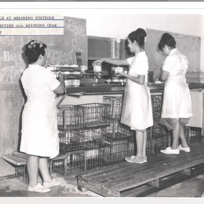 Women at weighing stations