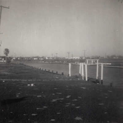 Yacht Harbor