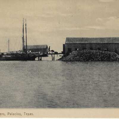 Unloading Oysters