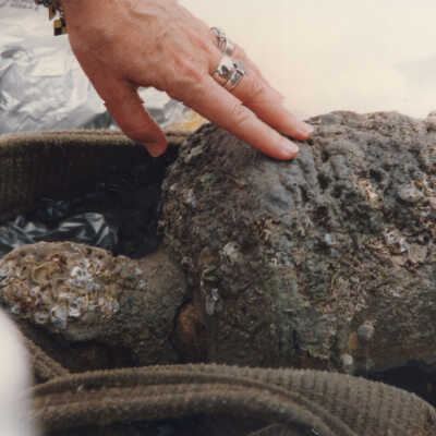 Upclose view of Cannon
