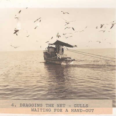Dragging the Net