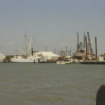Shrimp Trawlers