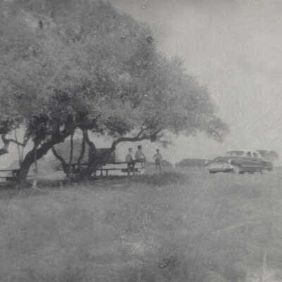Boys sitting on picnic tables