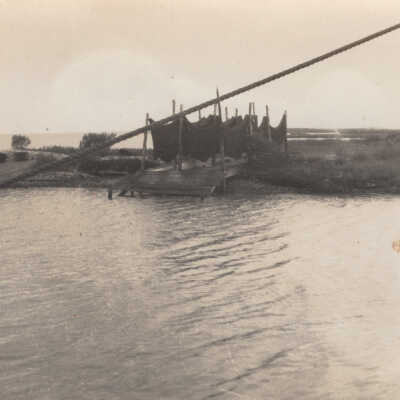 Nets at Crawfords
