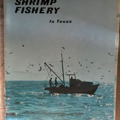 The Shrimp Fishery in Texas