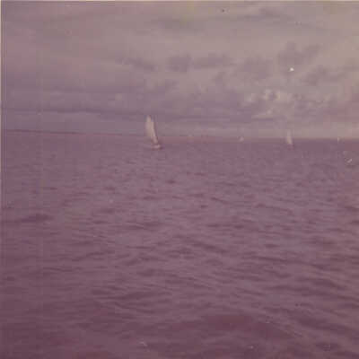 Sailboats