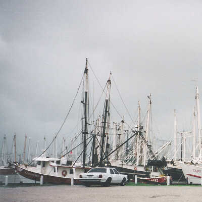 Shrimp Boats