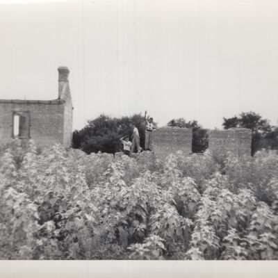 Photograph