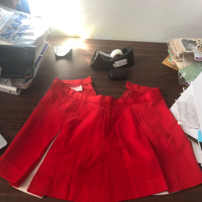 Cheerleader Skirt