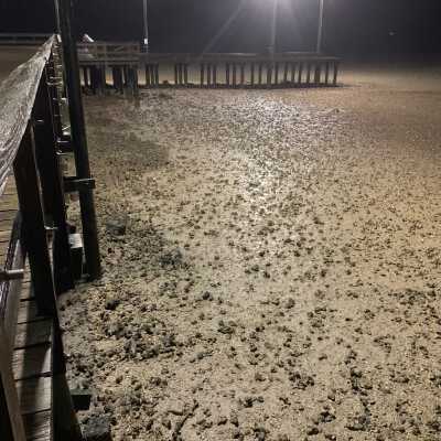 No Water at Pavilion Pier