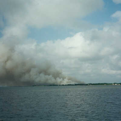Grass Fire in Collegeport Grass Fire in Collegeport
