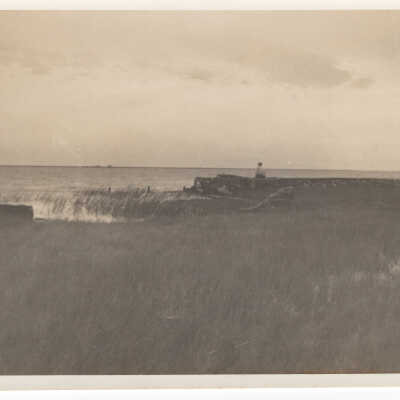 Seawall