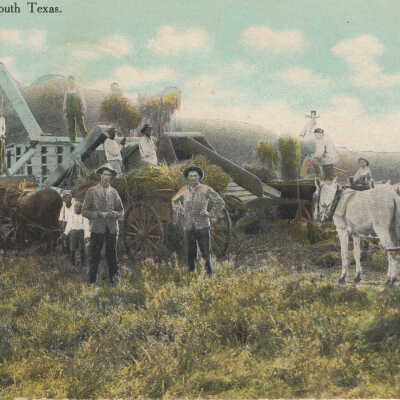 Rice Industry in South Texas