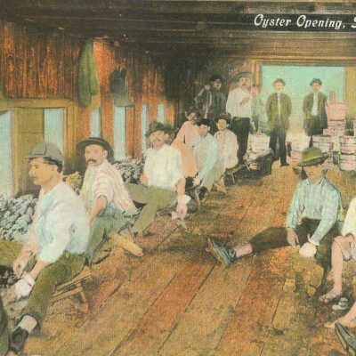 Oyster Opening