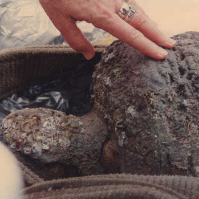 Upclose view of Cannon