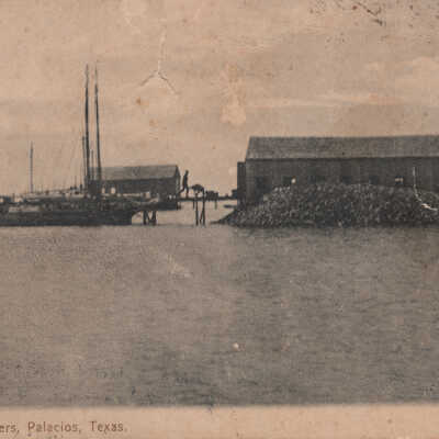 Unloading Oysters