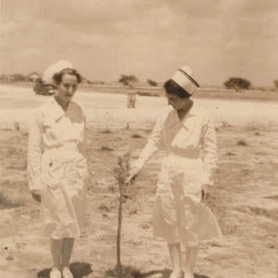 Nurses