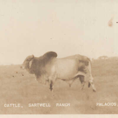 Sartwell Ranch