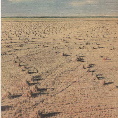 Texas, the Lone Star State