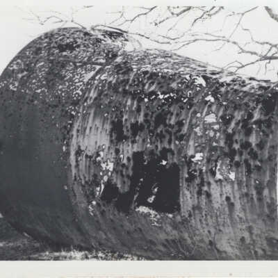 Old Tank