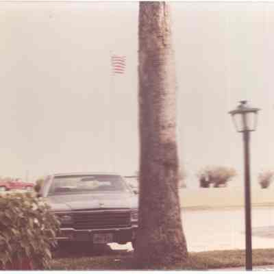 Car parked in front of tree
