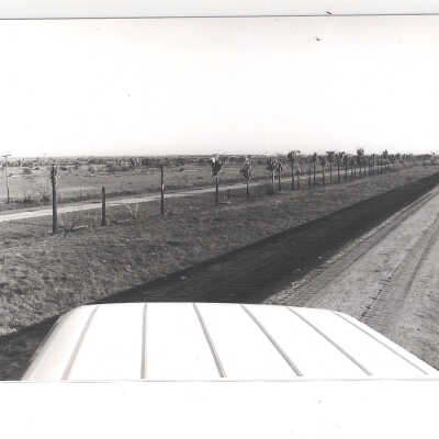 Camp Hulen