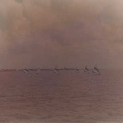 Sailing Competition