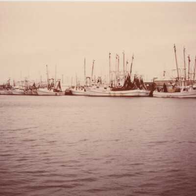 Shrimping Fleet Home for the Holidays