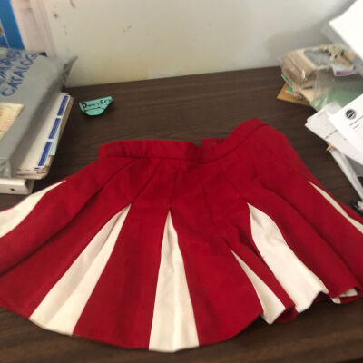 Cheer skirt