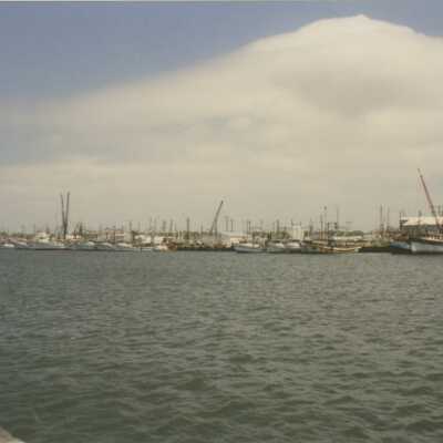 Shrimp Trawlers at Port