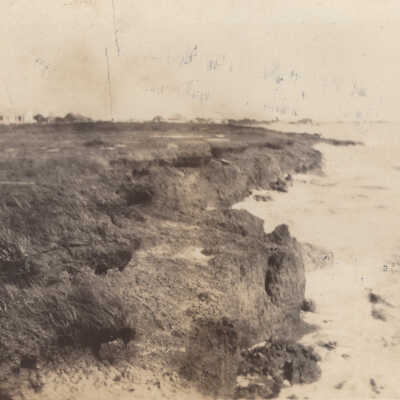 Bay Scene