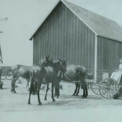 Sasse Farm