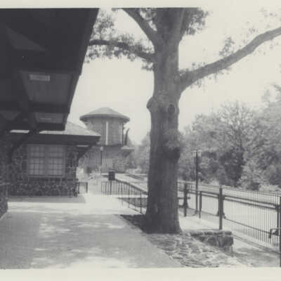 Texas State Railroad