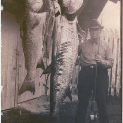 7ft 4in Tarpon