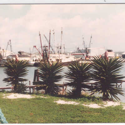 Shrimp Boats