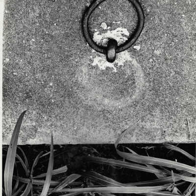 Hitching Ring