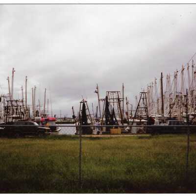 The Shrimp Boats in the Port of Palacios