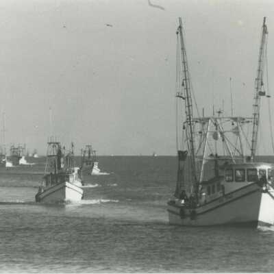 Shrimp Fleet Coming Home
