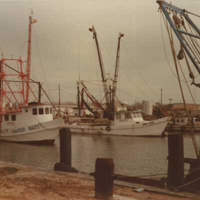 Master Matt and Sea Lion Shrimp Trawler
