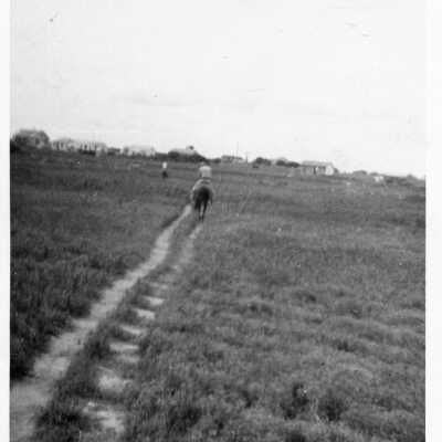 Riding the Trail